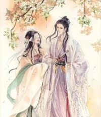 傻妃逆天：残疾王爷站起来了在哪免费看，云舒战天夜小说章节目录阅读-个性文学