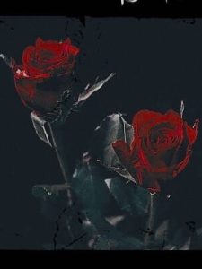 江若傅言安（迟来的深情她不屑）小说完整版全文免费阅读-个性文学