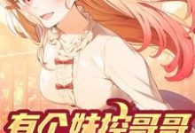 有个妹控哥哥是什么体验小说,有个妹控哥哥是什么体验免费阅读-个性文学