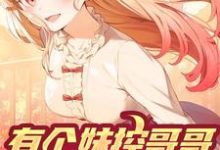 哪里可以免费读到林安林雨的完整故事?寻找有个妹控哥哥是什么体验-个性文学