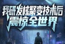 寻找能够免费阅读我研发核聚变技术后，震惊全世界小说的平台-个性文学