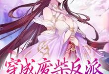 穿成废柴反派，我狂撩女主傅天凌苏幻雪小说在线章节免费阅读-个性文学