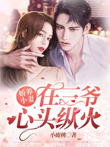 娇养小妻在三爷心头纵火司念念念念绵绵小说在线章节免费阅读