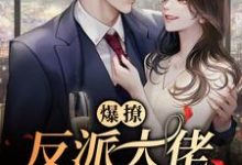 爆撩！反派大佬别太爱最新章节，爆撩！反派大佬别太爱免费阅读-个性文学