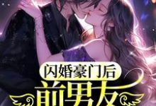 闪婚豪门后，前男友敲门求和小说完结版章节免费阅读-个性文学