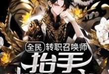 全民:转职召唤师,抬手粉碎异族苏寒小说免费阅读-个性文学