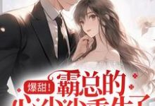 爆甜！霸总的心尖尖重生了叶筱汐霍逸寒在线章节免费阅读-个性文学