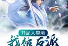 完结版《开局人皇境,我被反派养成神》章节阅读-个性文学