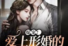 主人公叫阮听夏宋季凛的小说哪里免费看-个性文学