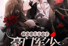 求推荐可以免费阅读娇妻重生太抢手,豪门军少闪电求婚小说的网站-个性文学