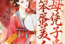 后宫：笨蛋美人母凭子贵小说，后宫：笨蛋美人母凭子贵章节在线阅读-个性文学