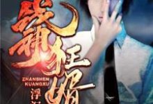 战神狂婿这本小说怎么样?免费在线阅读试试-个性文学