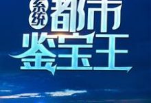《系统：都市鉴宝王》小说主角关毅沐蓉章节章节免费在线阅读-个性文学