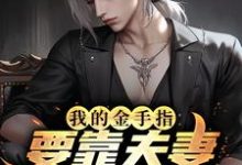 陆肖楚雨荷的故事在哪本书里？免费阅读我的金手指要靠夫妻关系打开？-个性文学