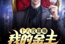 《十八线糊咖：我的金主是我小后妈》小说大结局免费试读 沈南倾战西宸小说-个性文学