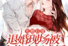 寻找能够免费阅读先婚后爱：退婚现场被大佬当场求婚小说的平台-个性文学
