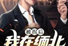 免费看被拐后,我在缅北杀疯了小说的网站有哪些?-个性文学