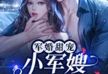 军婚甜宠：小军嫂又美又娇小说无弹窗阅读的网站推荐-个性文学