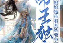 许阑珊元邕帝是哪本书的主角？寻找帝王独宠：娘娘她带着系统要争宠免费阅读-个性文学