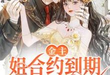 金主,姐合约到期,不伺候了!这本小说在哪里可以看?哪里有免费试读章节?-个性文学