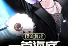 小说《顶流复出，一首海底唱哭全网》在线章节阅读-个性文学