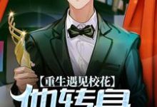 林轩的小说在哪里看?免费在线阅读重生遇见校花,他转身不再爱-个性文学