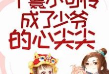 免费看丫鬟小可怜成了少爷的心尖尖小说的网站有哪些？-个性文学