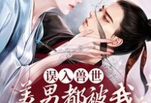 《误入兽世:美男都被我撩疯了》小说主角叶洛星章节章节免费在线阅读-个性文学