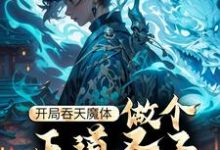 开局吞天魔体,做个正道圣子怎么这么难!小说有没有完结版在线?-个性文学