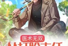 医术无双:从打脸主任开始无敌小说的无弹窗阅读体验,寻找免费阅读网站-个性文学