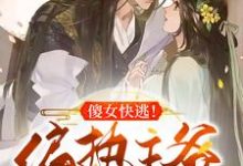 求傻女快逃!偏执王爷太会撩小说的全文免费阅读链接-个性文学