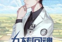 林霄白诗韵是哪本书的主角?神医:九转回魂,一针定生死免费读-个性文学