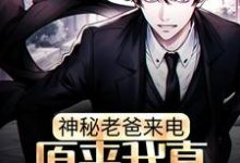 小说《神秘老爸来电,原来我真是富二代》章节免费阅读-个性文学