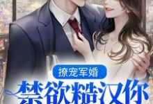 免费在线阅读撩宠军婚,禁欲糙汉你不要太宠她!小说的正规网站有哪些?-个性文学