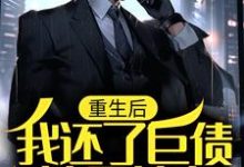 重生后,我还了巨债追回前妻这本小说完结了吗?免费查看最新章节-个性文学