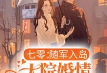 小说《七零：随军入岛，大院婚情甜蜜蜜》在线章节阅读-个性文学
