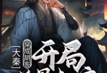 大秦:穿成胡亥,开局逆骨赵高( 胡亥嬴政)在线免费阅读-个性文学