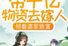 已完结小说《带千亿物资去嫁人,领着婆家致富》在线章节阅读-个性文学