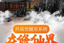 开局觉醒双系统,在修仙界放飞自我小说,开局觉醒双系统,在修仙界放飞自我章节在线阅读-个性文学