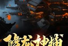 陆凡为主角的小说好看吗？求降龙神捕免费试读-个性文学