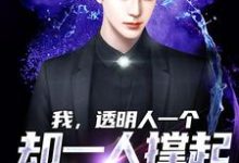 完结版《我,透明人一个,却一人撑起整个家》免费阅读-个性文学