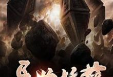 哪里能找到异世妖孽小说的最新更新和免费章节?-个性文学