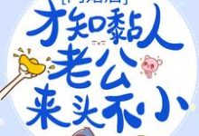 哪里能找到闪婚后,才知黏人老公来头不小小说的最新更新和免费章节?-个性文学