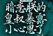 重生后,暗恋朕的皇叔暴露小心思了轩辕帝阳轩辕凤燃小说大结局免费试读-个性文学