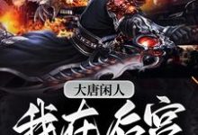 大唐闲人：我在后宫吃软饭小说，大唐闲人：我在后宫吃软饭在线阅读-个性文学