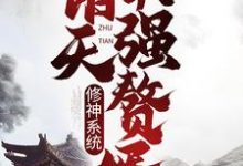 修神系统:诸天最强赘婿小说的免费阅读版本在哪里可以找到?-个性文学