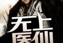 无上医仙小说阅读，无上医仙完结版-个性文学