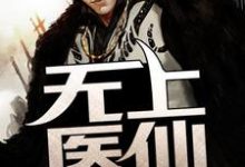 无上医仙小说有没有完结版在线？-个性文学
