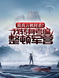 沈赫的故事在哪本书里？免费阅读说真言被封杀？我转身考编整顿军营