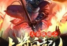 大秦纵横之上将白起小说有没有完整的免费版本在线阅读?-个性文学